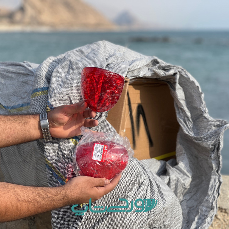 چراغ خطر وینو پاکشتی